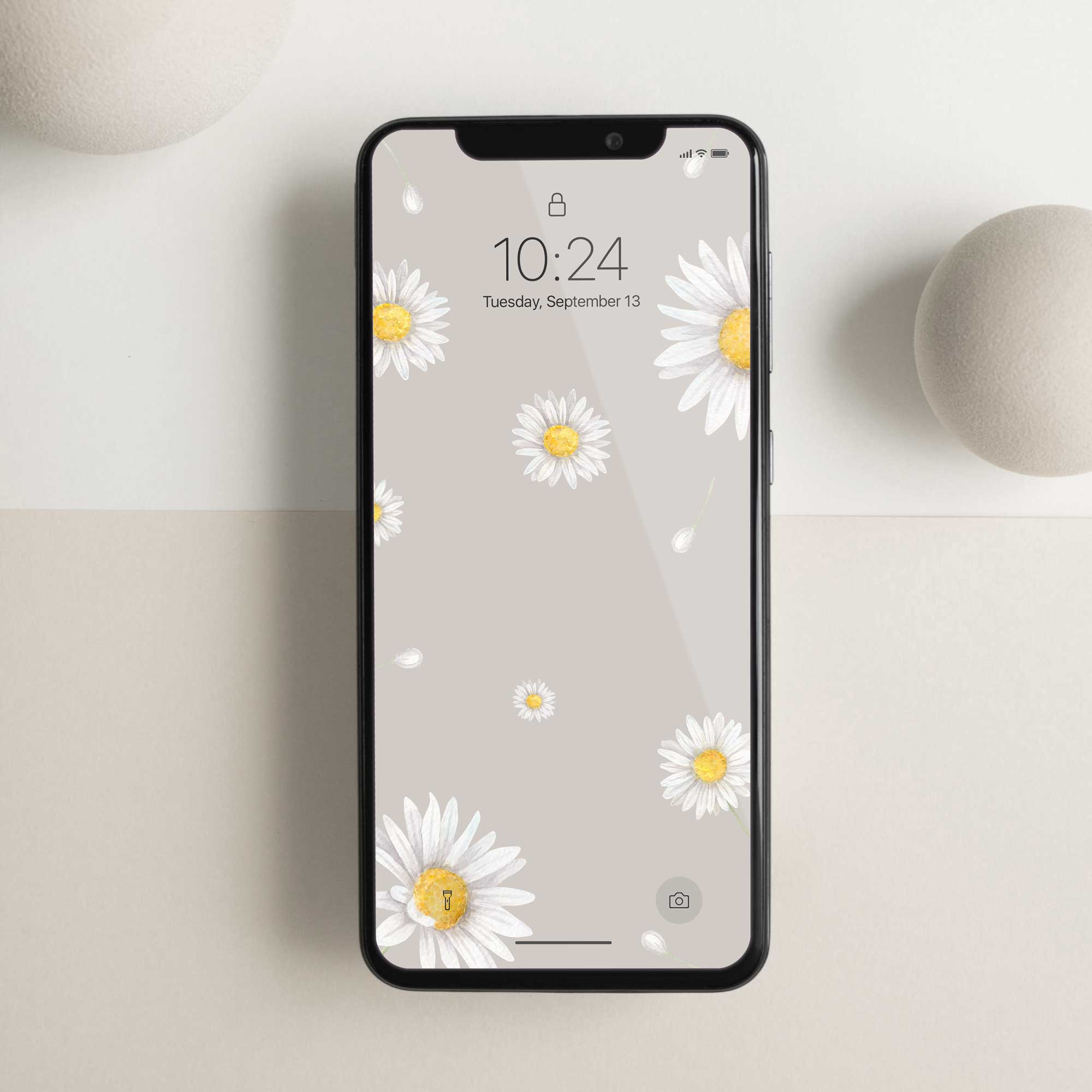 Phone Wallpaper “Daisy”
