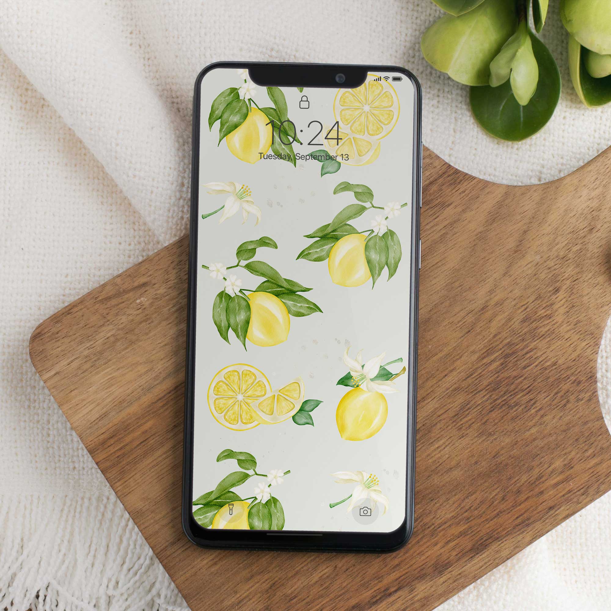 Phone Wallpaper “Lemons”