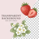 Close-up view of watercolor strawberry and flower blossom illustrations showcasing 300 DPI high resolution and transparent PNG background